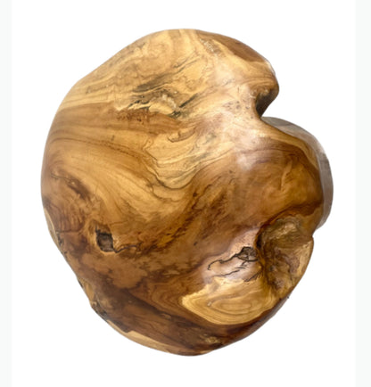 Habini Teak Mushroom